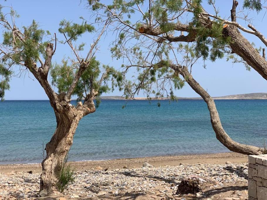 شقة Studio At Beautiful Beach Kouremenos Anevato المظهر الخارجي الصورة